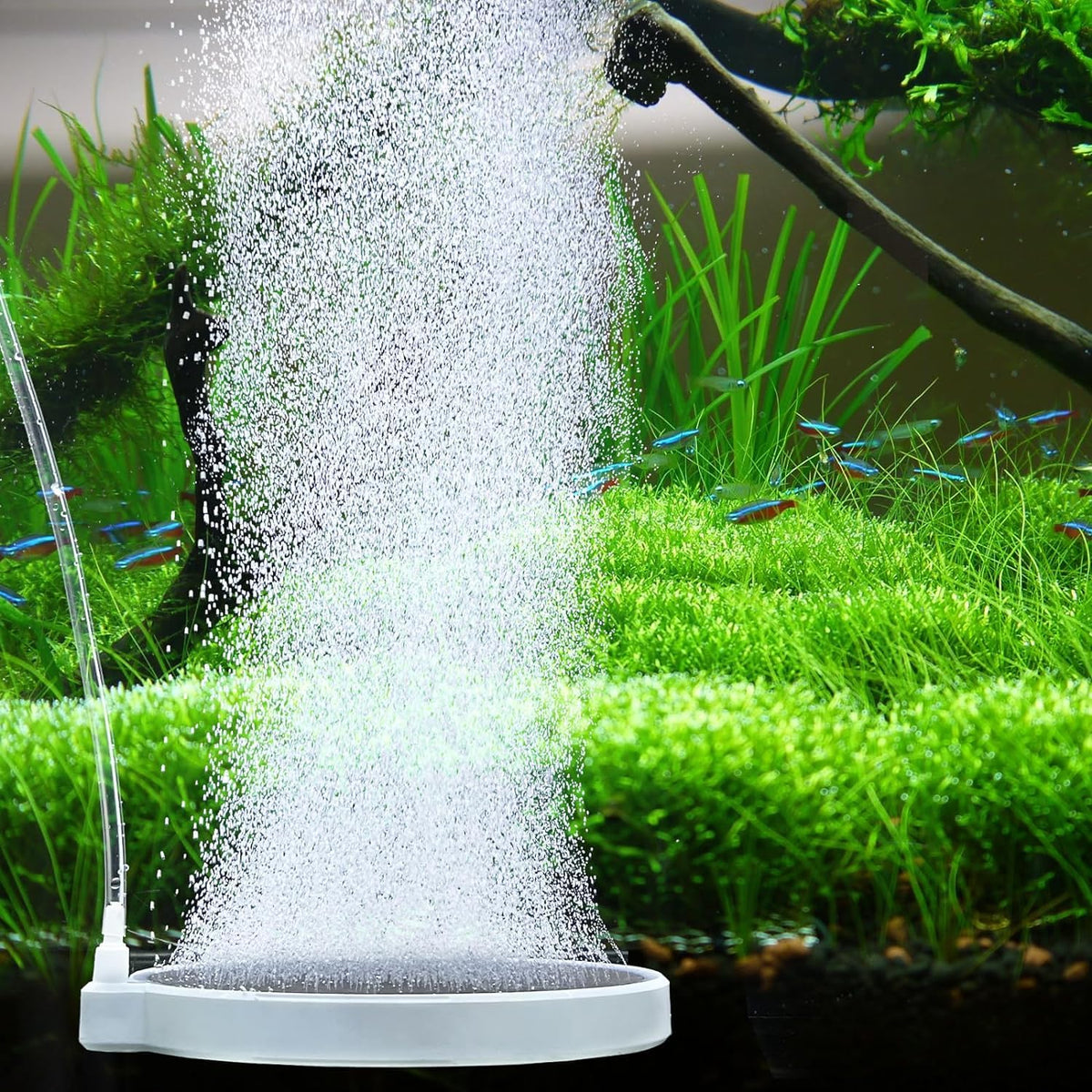 UPETTOOLS Nano Air Stone 6inch diffuser shows quiet aquarium aeration with fine bubbles