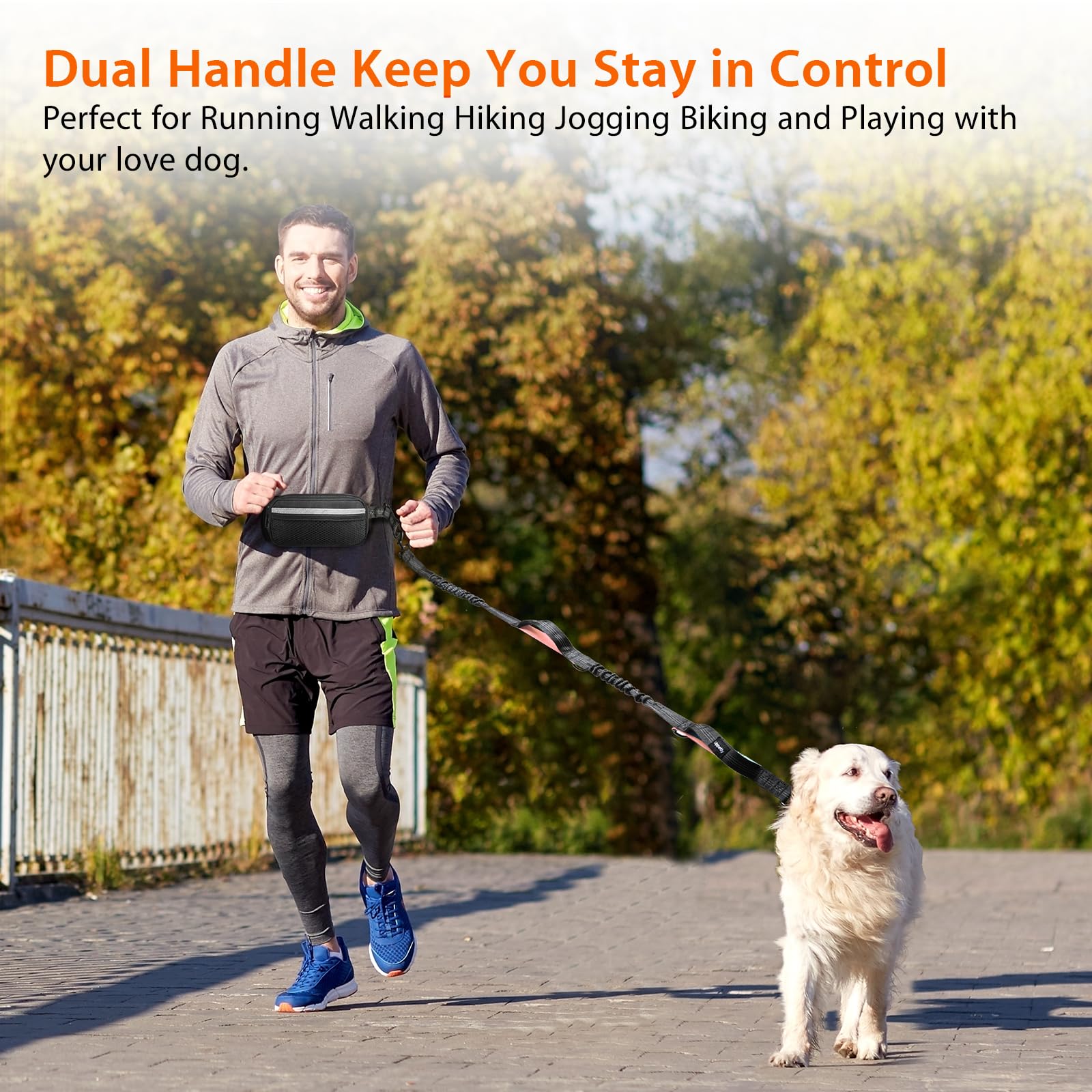 Uppetly leash supports large dogs up to 120 lb for balanced control.