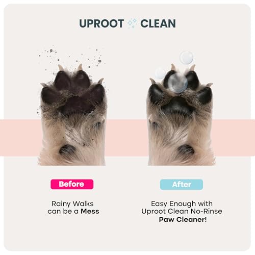 Uproot Clean Dog Paw Cleaner in-car use shows portable paw cleaning solution.