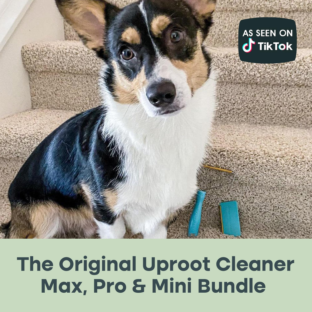 Uproot Clean lint-collection closeup highlights reusable efficiency.