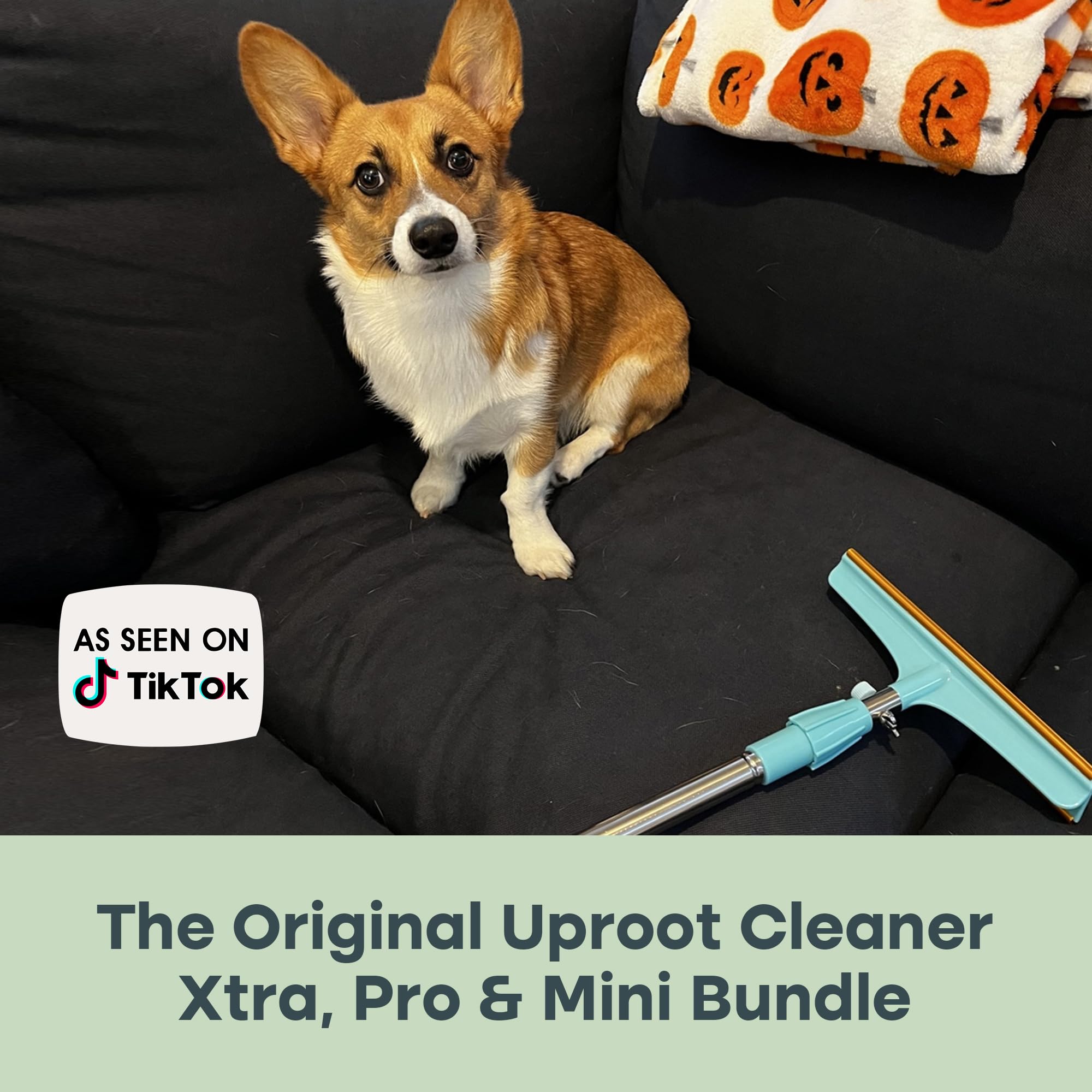 Uproot Cleaner compact tool for on-the-go fur removal.