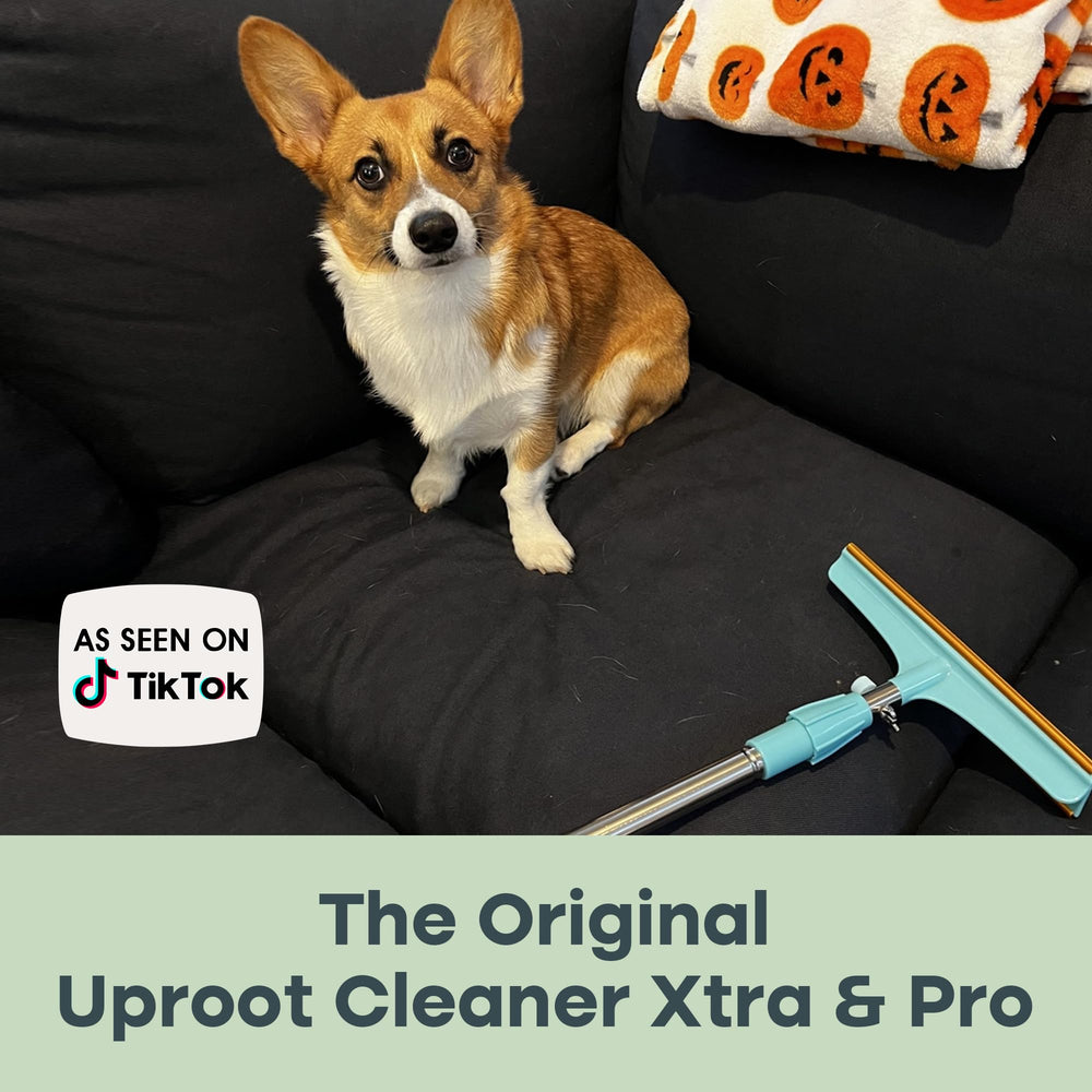 Uproot Cleaner Pro assembly steps show quick setup for busy homes.