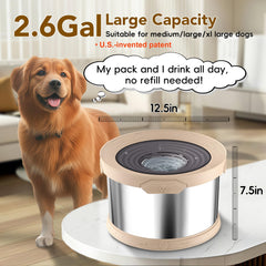 UPSKY no-spill 10L bowl bottom base shows non-slip stability for active dogs