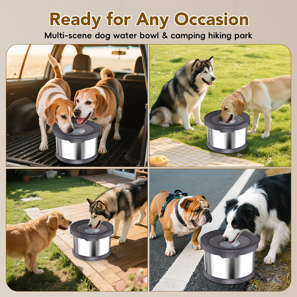 UPSKY removable filter helps keep water fresh and clean