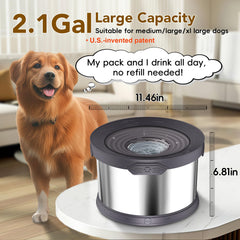 Upsky large-capacity 8L dog water bowl ideal for multi-pet homes.