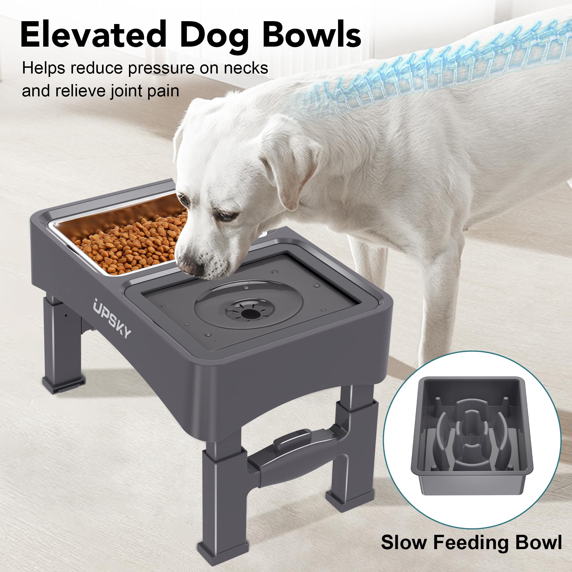 UPSKY portable foldable dog bowl set ready for travel and easy storage