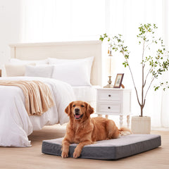 URGVANZ PET cooling gel memory foam demonstrates cooling comfort for warm days.