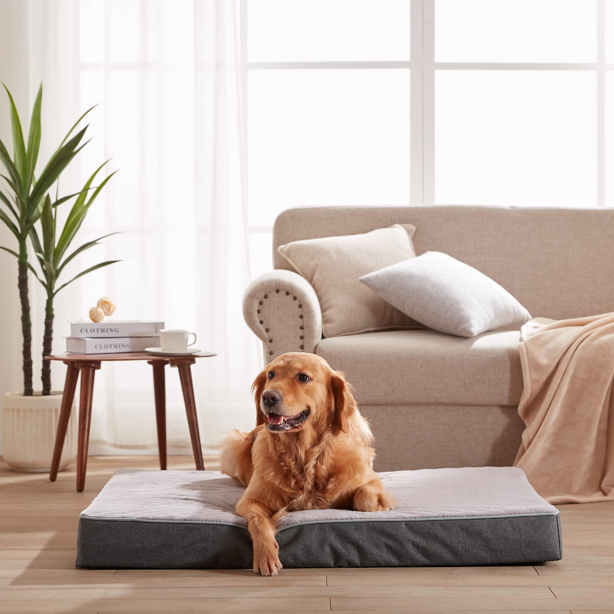 URGVANZ PET orthopedic memory foam closeup shows high-density support for joints.