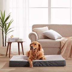 URGVANZ PET orthopedic memory foam closeup shows high-density support for joints.