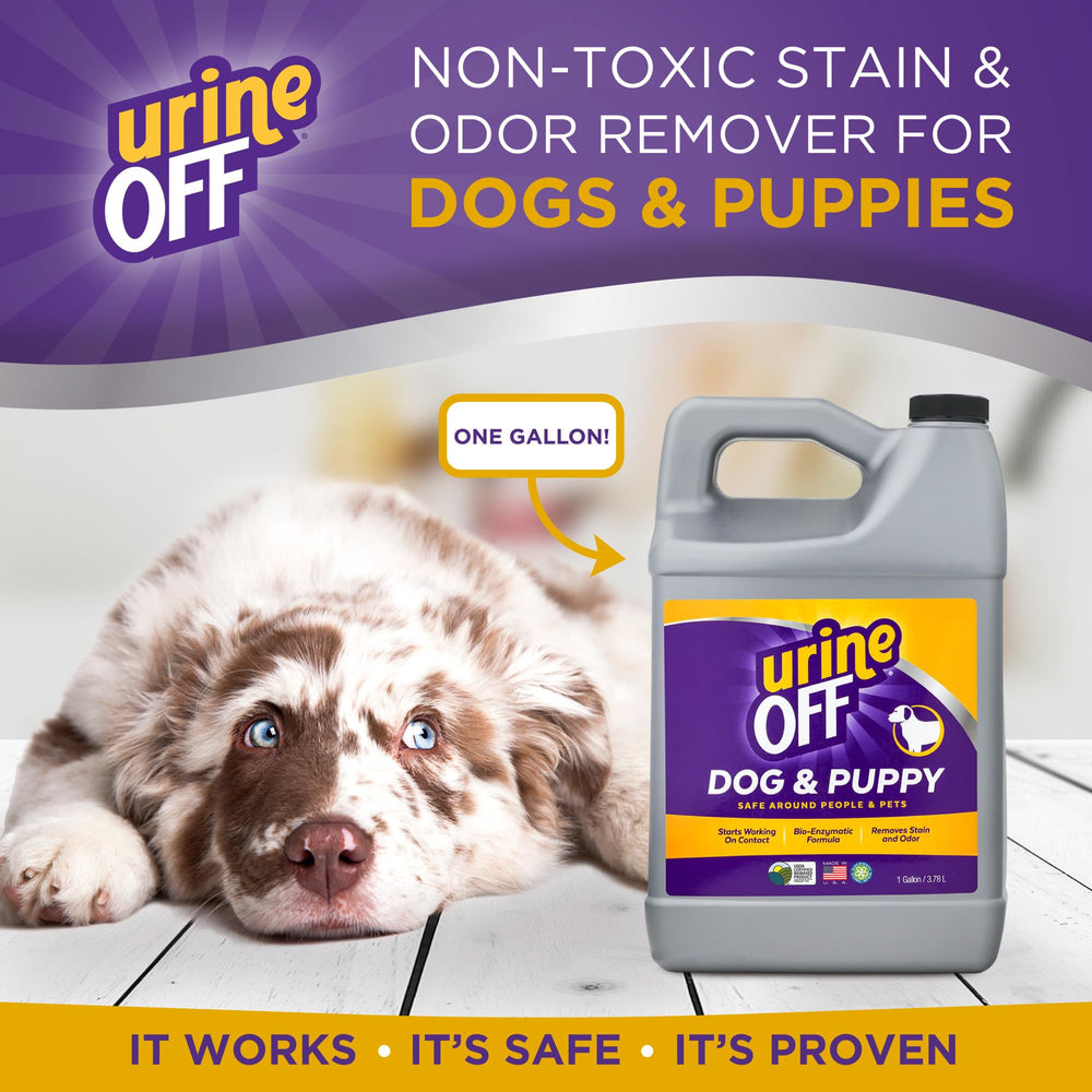 Urine OFF multi-surface spray on carpet shows stain removal potential.