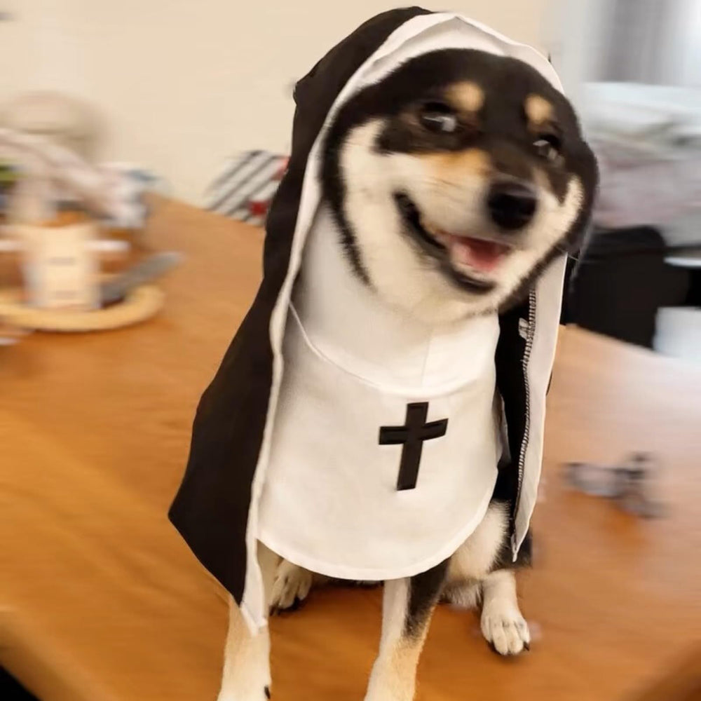 Urnat cat/dog nun costume back view, keeps pets comfortable during celebrations.