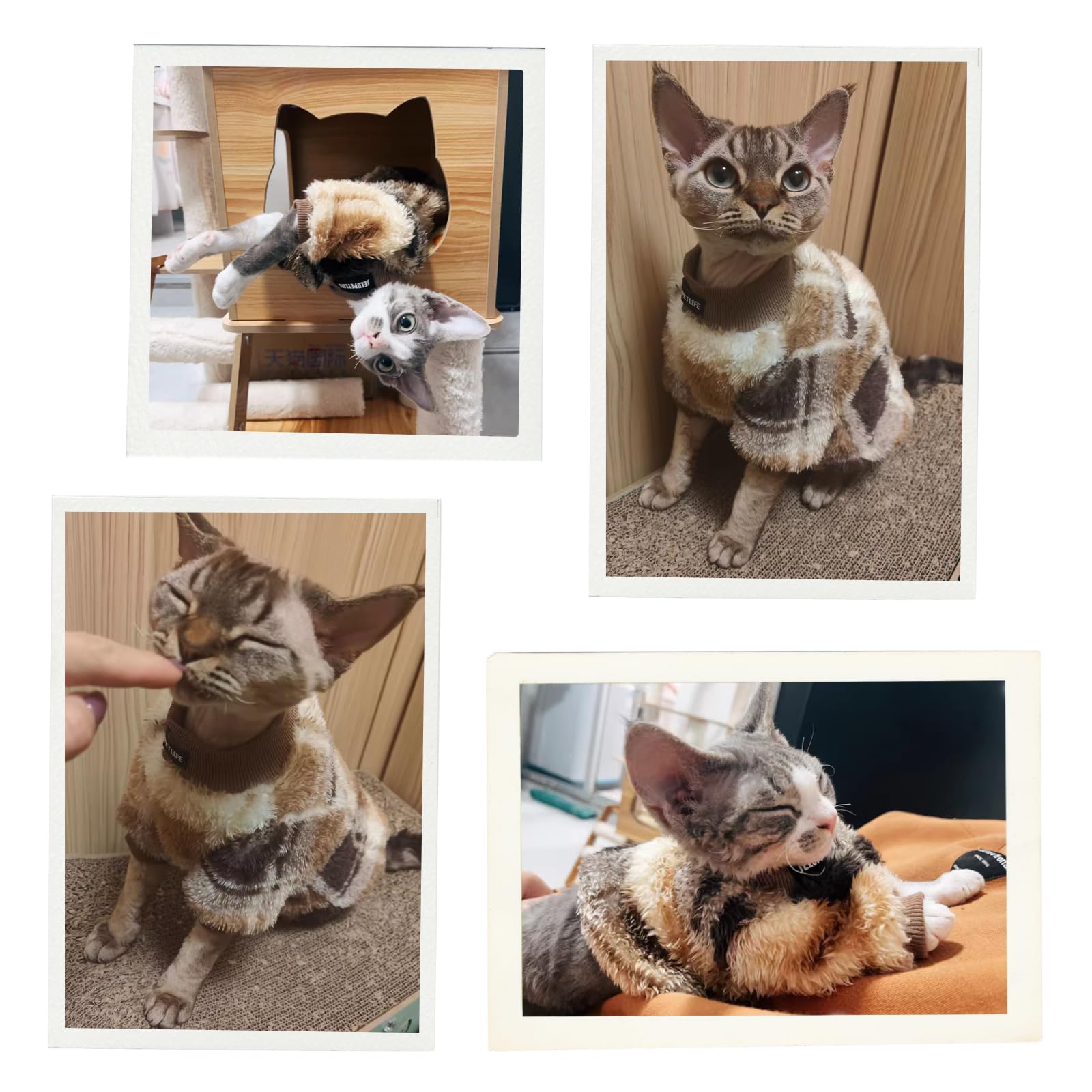 Urnat cat double-sided fleece clothes green size guide image for best fit