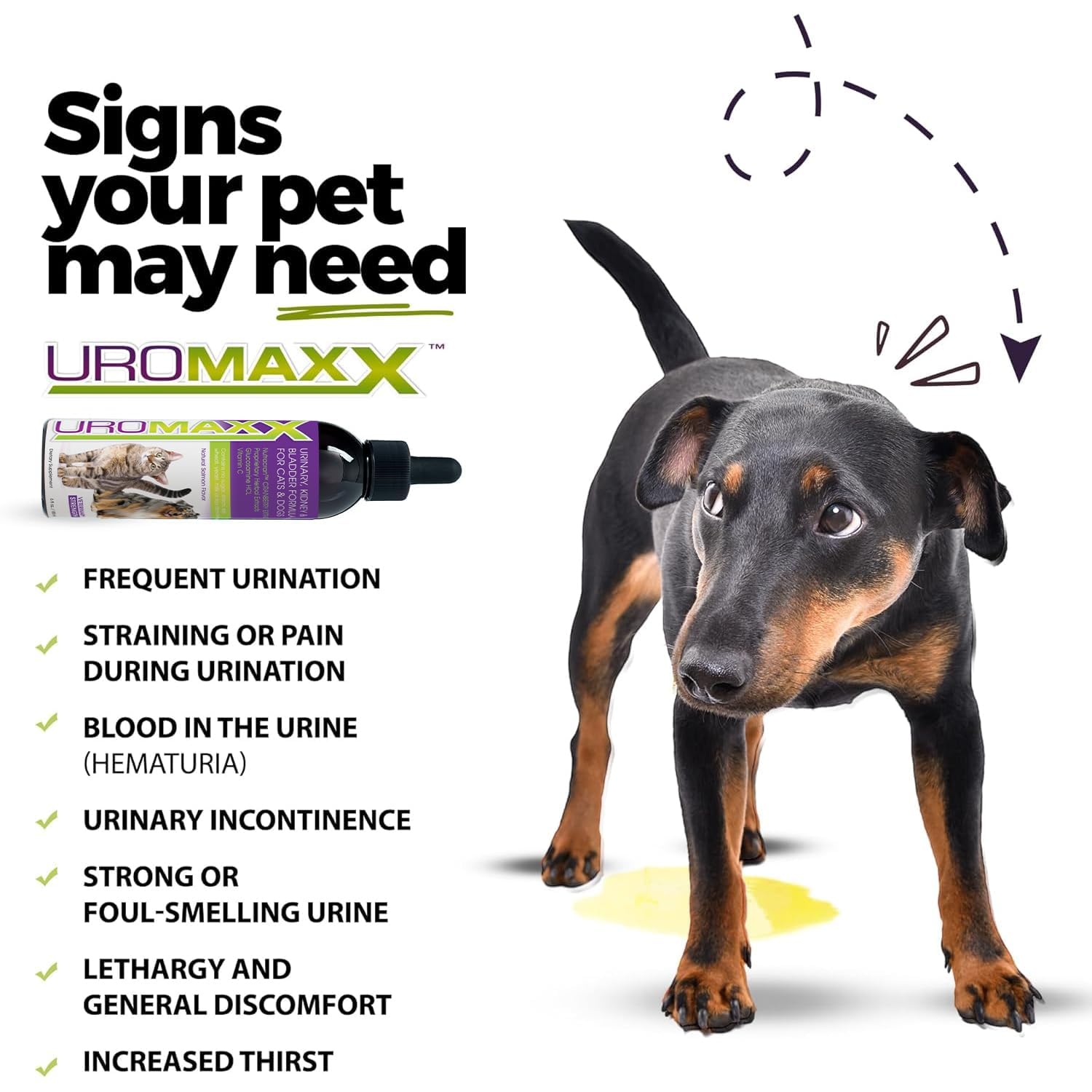 UroMAXX bottle label close-up highlights cranberry and glucosamine ingredients