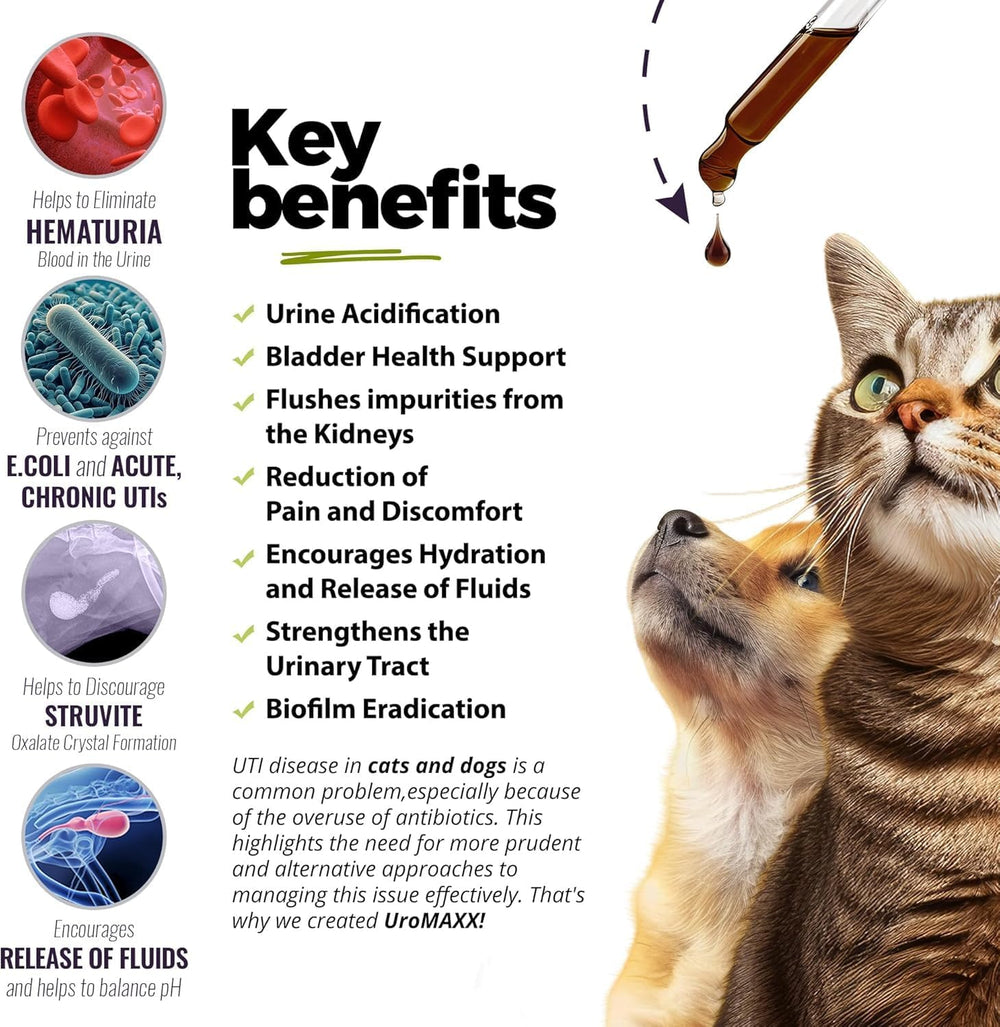 UroMAXX liquid cranberry-glucosamine shown for pet urinary health support