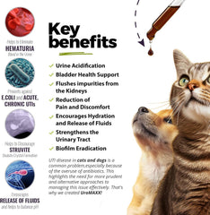 UroMAXX liquid cranberry-glucosamine shown for pet urinary health support