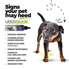 UroMAXX soft chews in chicken flavor for tasty urinary support