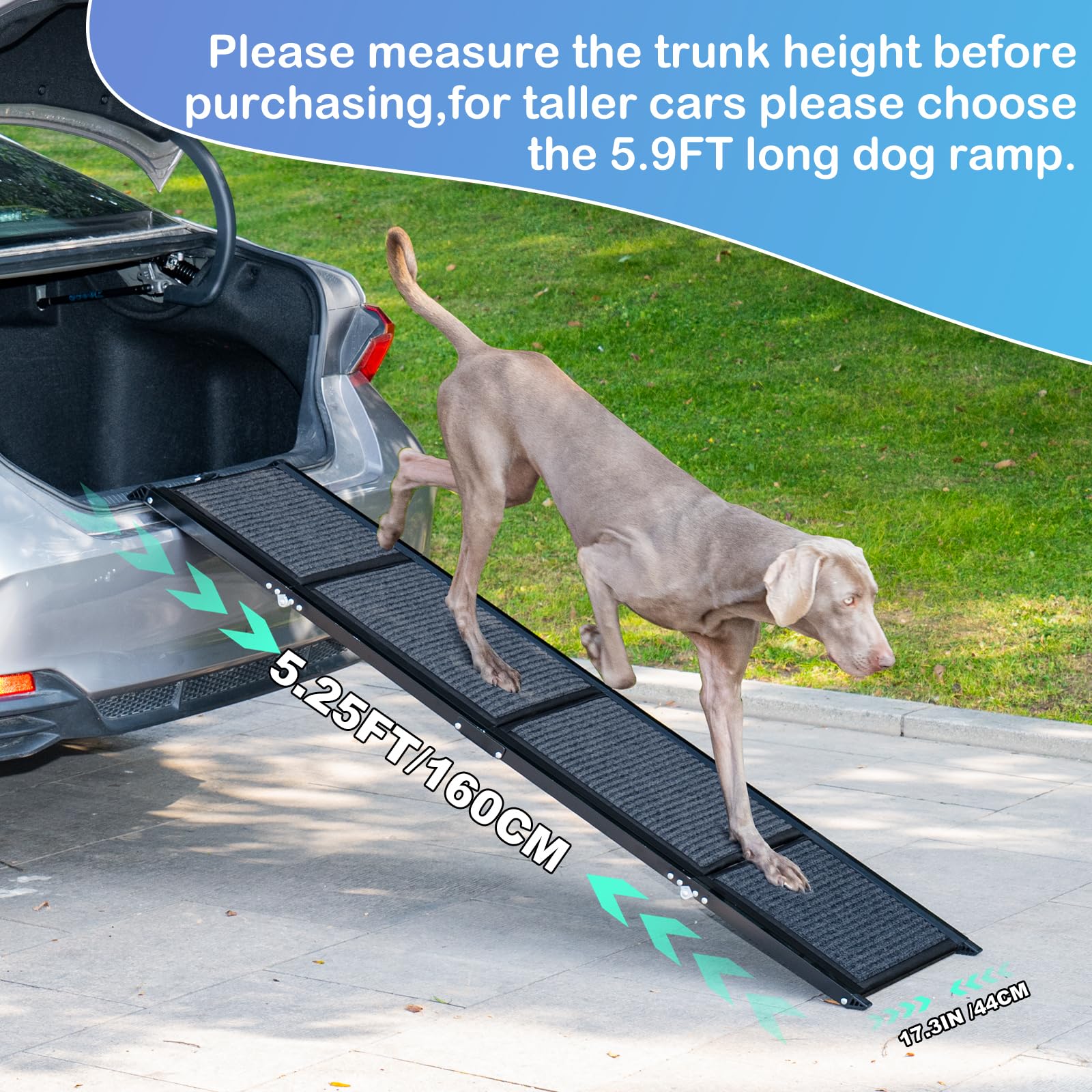Uross dog ramp on porch steps illustrating versatile outdoor and SUV use.