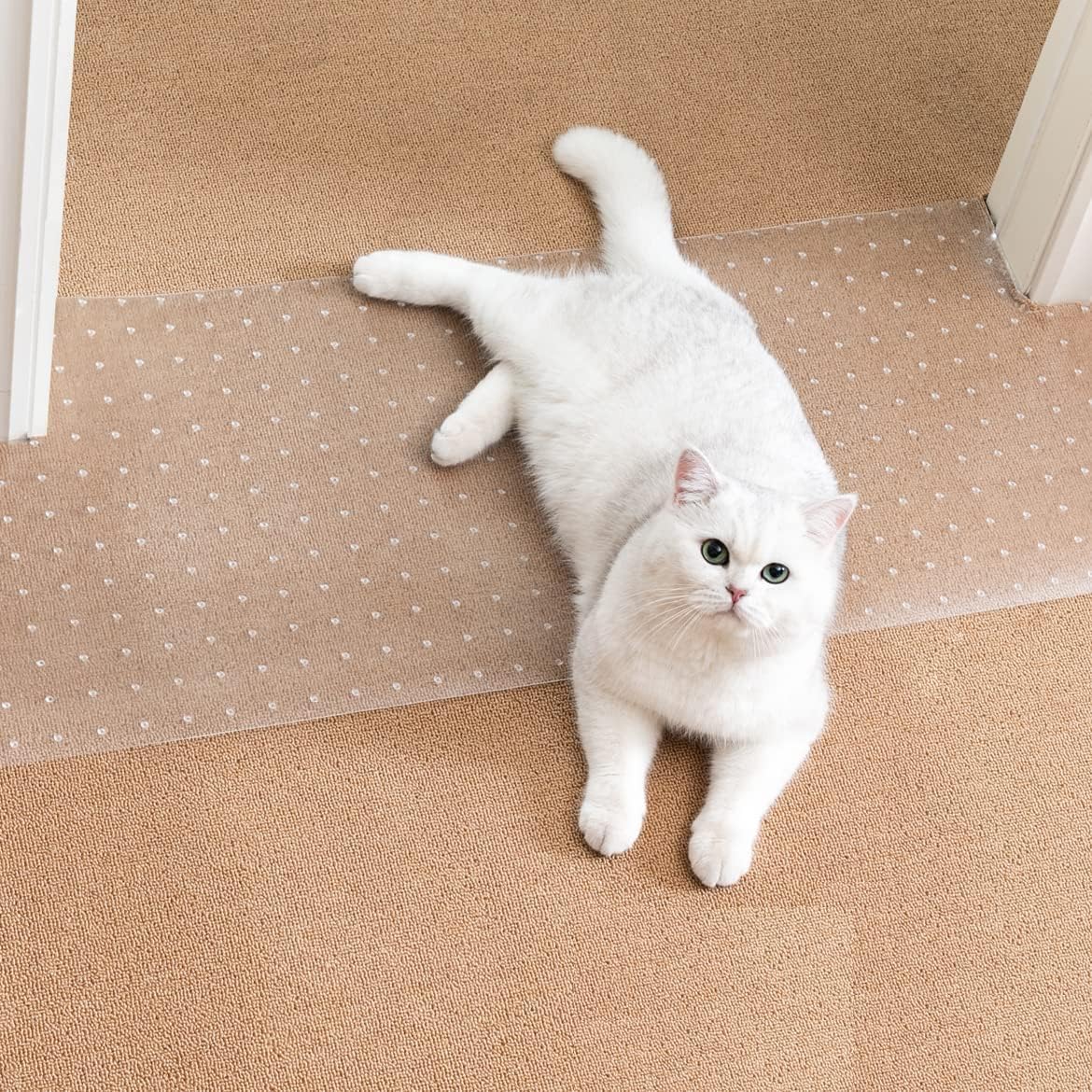 Protector de alfombra Uross frente a la puerta para evitar arañazos.