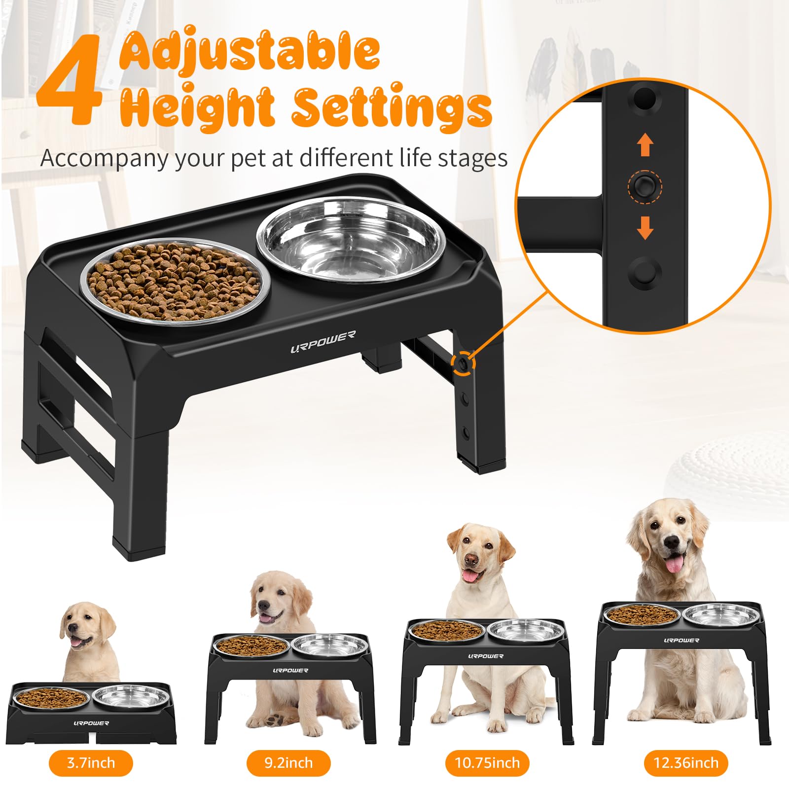 URPOWER 4-height setup demonstrating adjustable heights for growing dogs