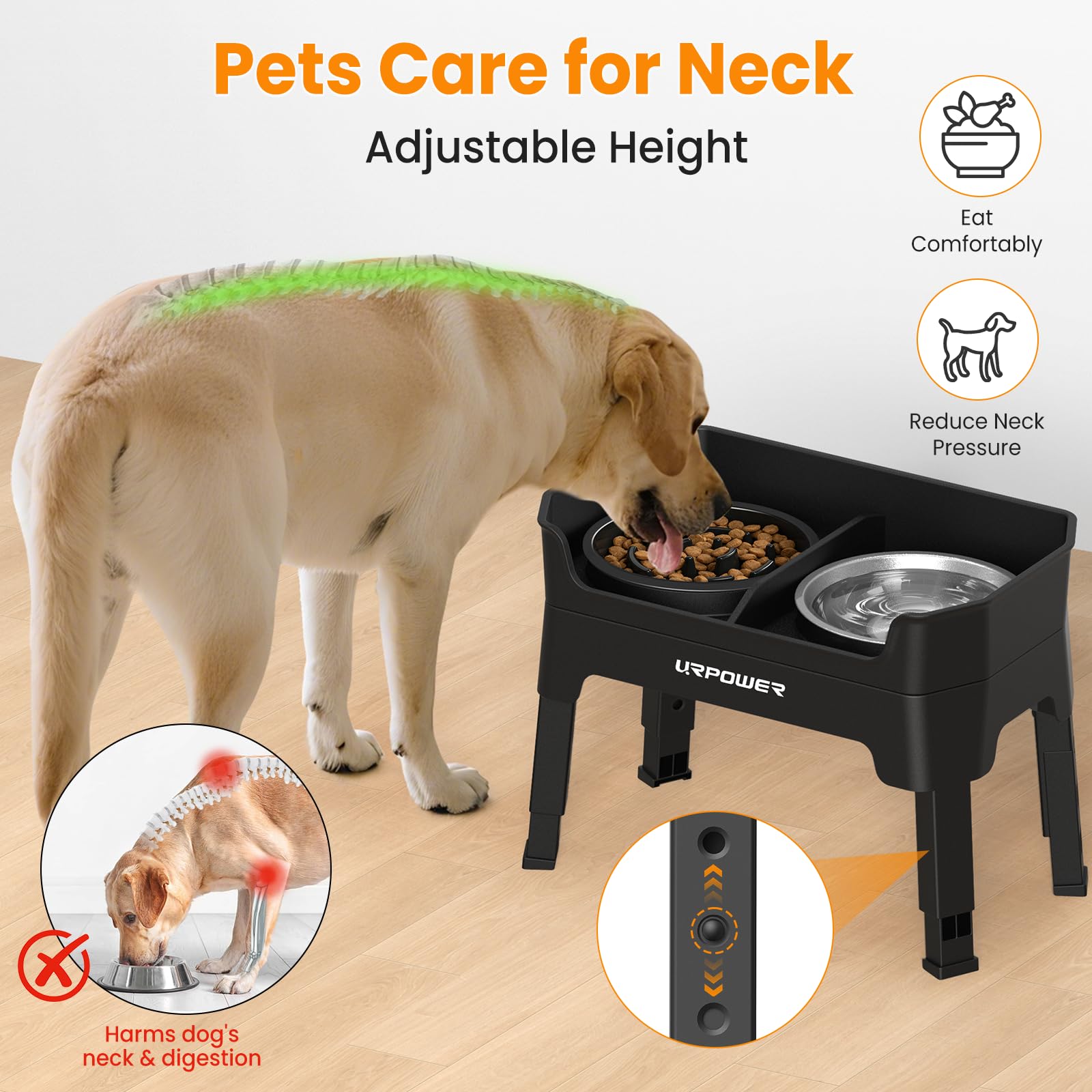 URPOWER adjustable-height dog bowl stand fits growing dogs for years.