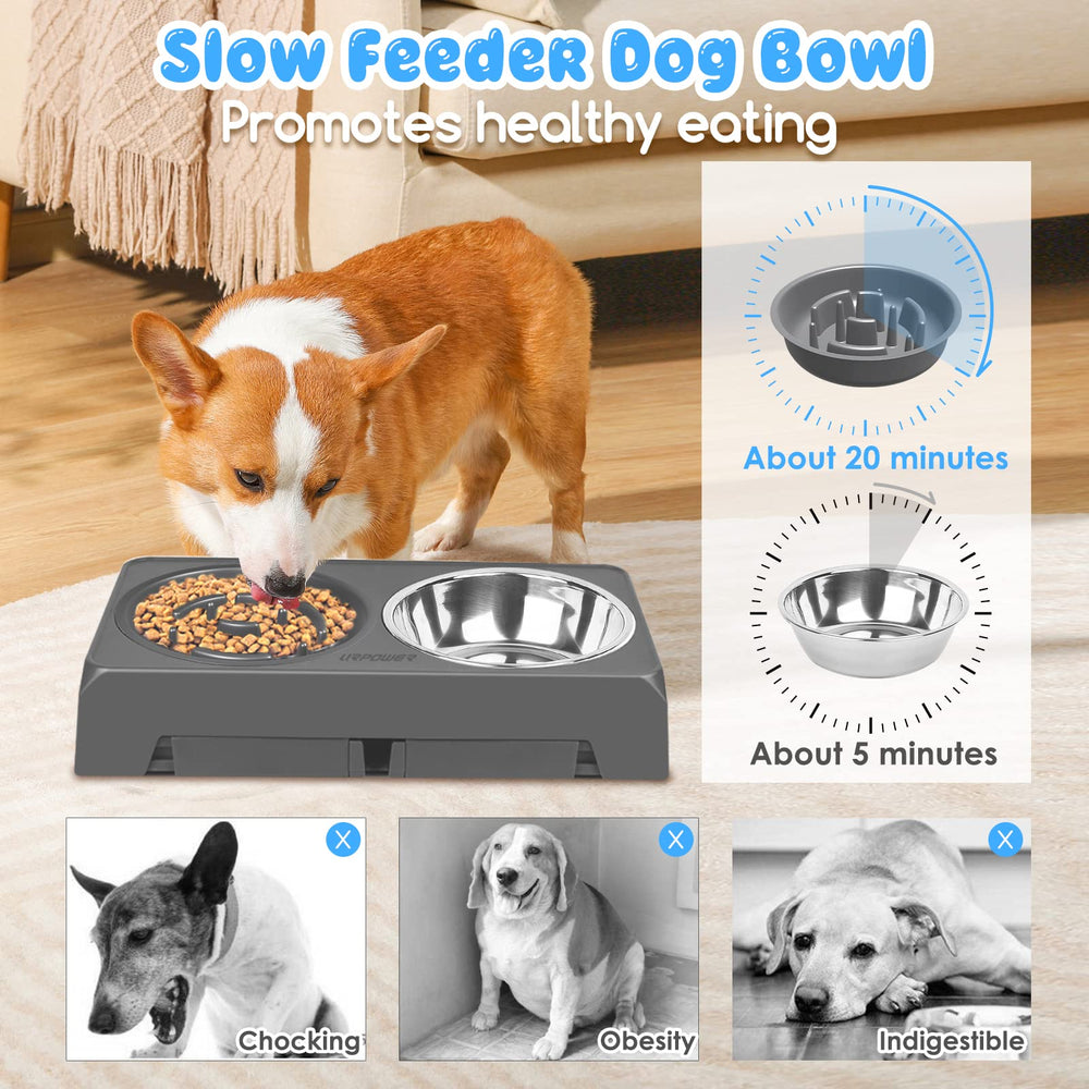URPOWER anti-slip base keeps bowls steady during meals