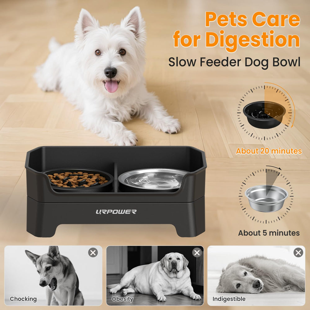 URPOWER anti-spill design prevents mixing water and food on the floor.