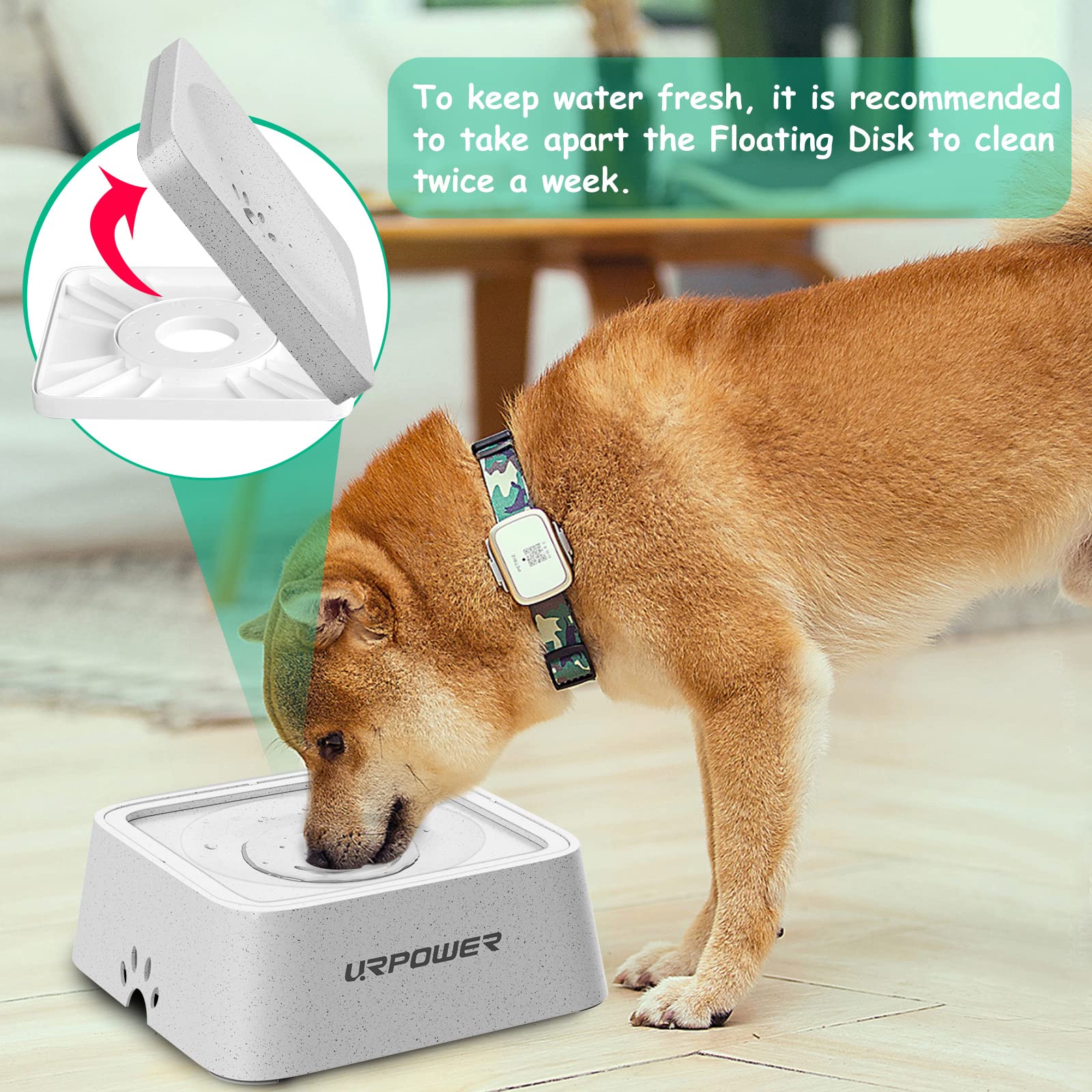 URPOWER easy-clean design with detachable parts for quick maintenance.