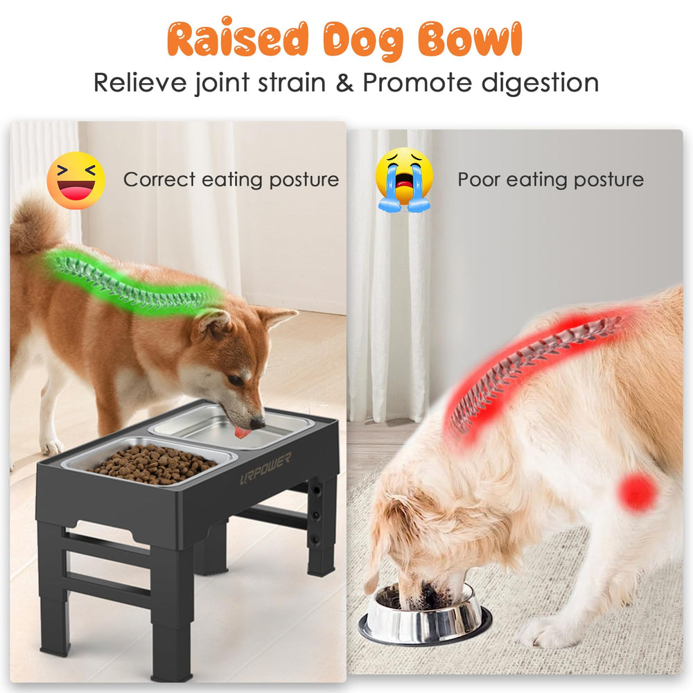 URPOWER elevated bowls stand height chart — ergonomic feeding positions.