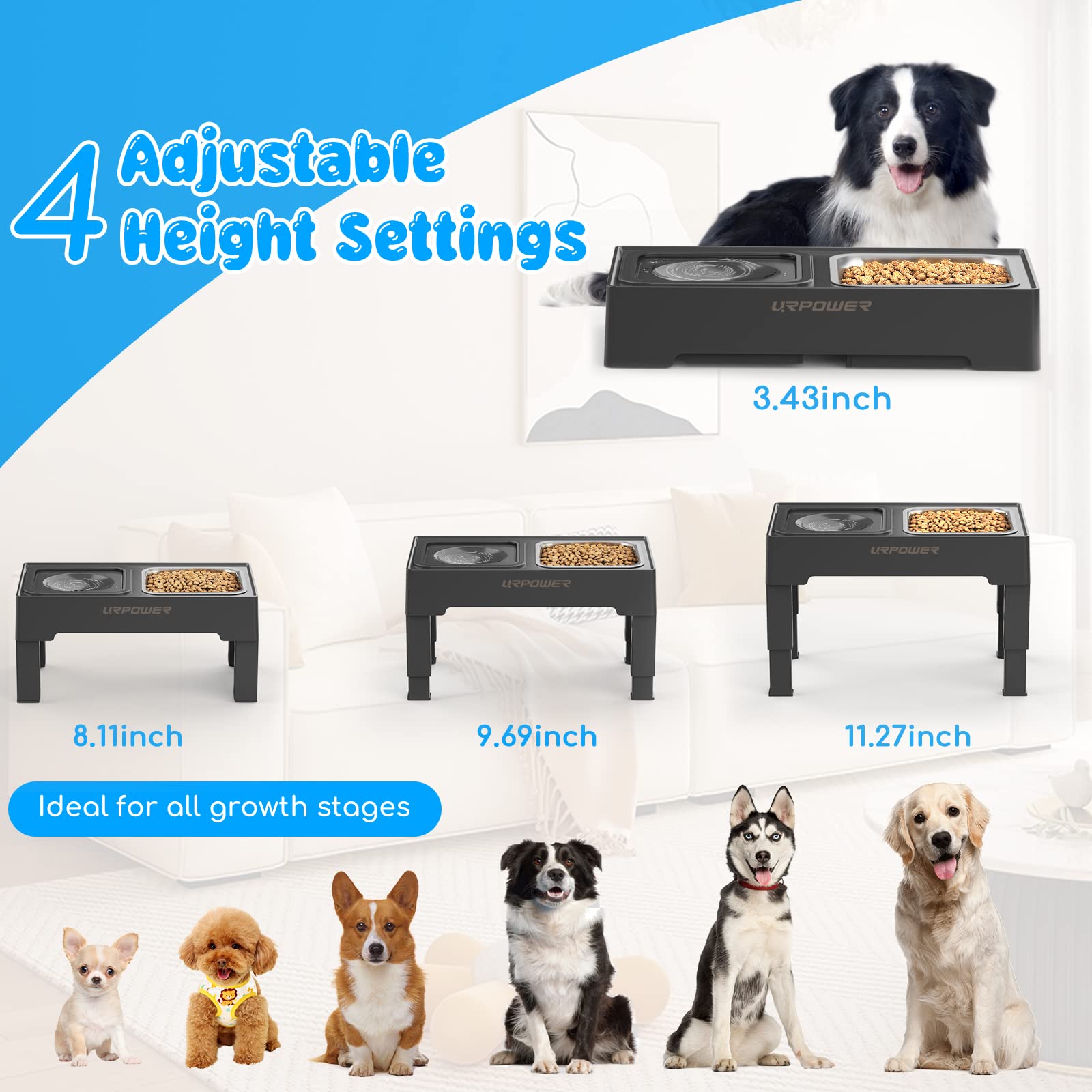 URPOWER elevated stand with no spill water bowl showing anti splash feature