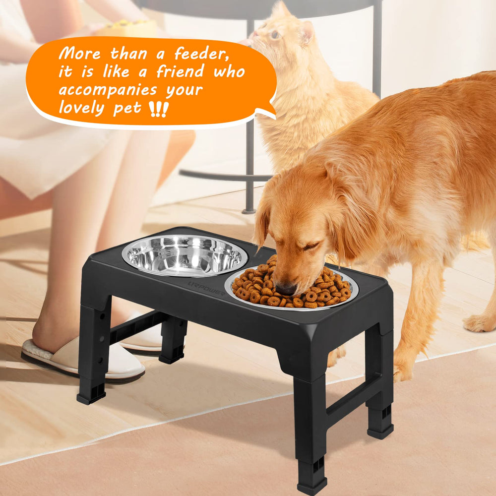 URPOWER elevated dog bowls small to large dogs illustrate versatile feeding for all sizes
