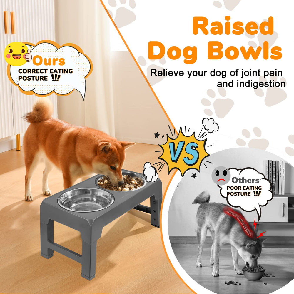 URPOWER stainless bowls detach for easy cleaning and rust resistance.