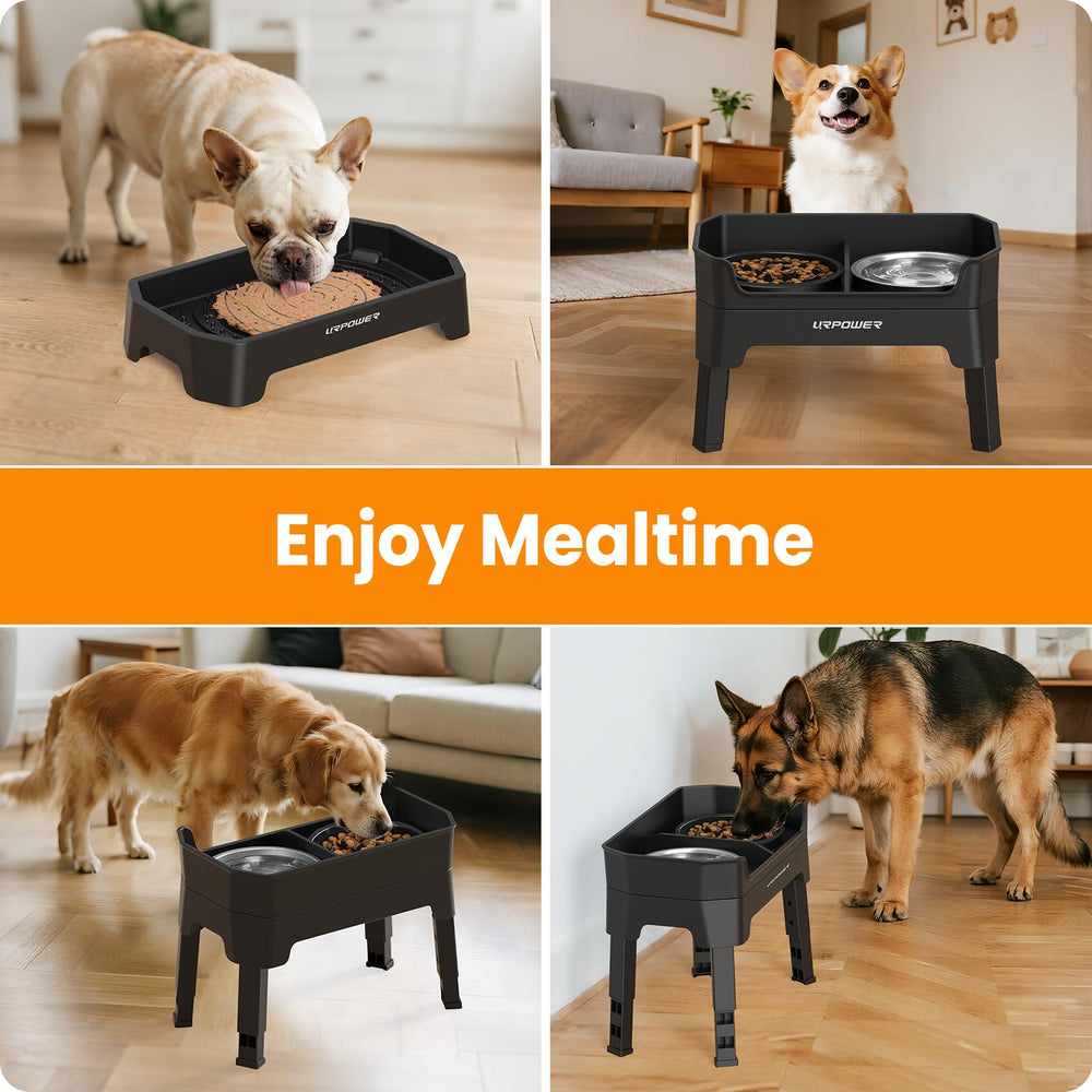 URPOWER elevated feeding setup enhances comfort during dog meals.