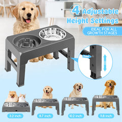 URPOWER height-adjustable dog bowl stand with four positions supports growing dogs