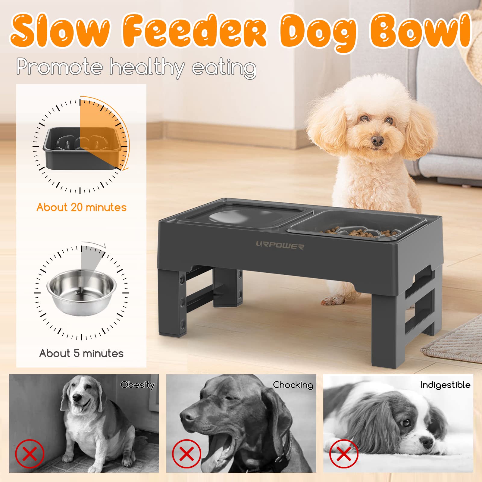 URPOWER height settings 3-4-8-11 demonstrate versatile adjustments for growing pets.