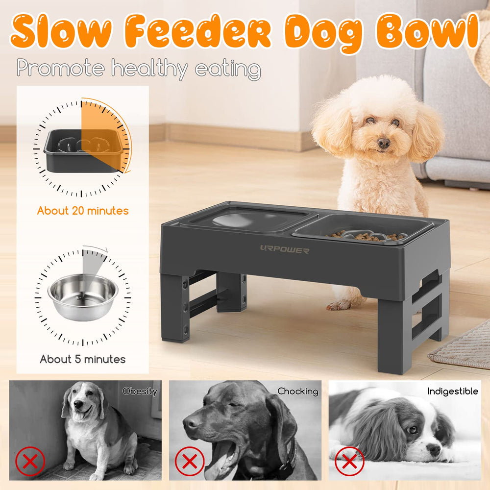 URPOWER height settings 3-4-8-11 demonstrate versatile adjustments for growing pets.