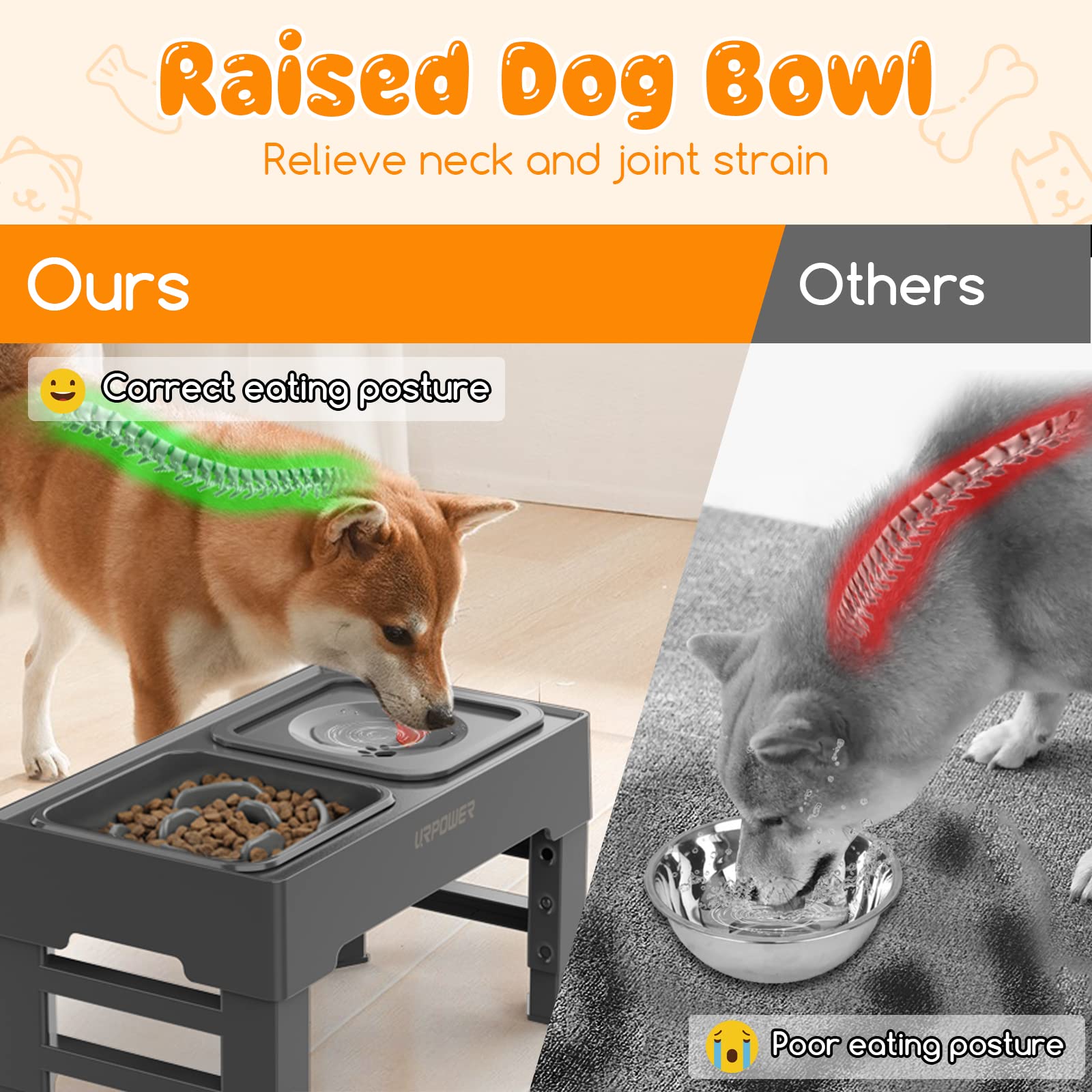 URPOWER no-spill water bowl with floating disk in action reduces splashes and keeps fur dry.