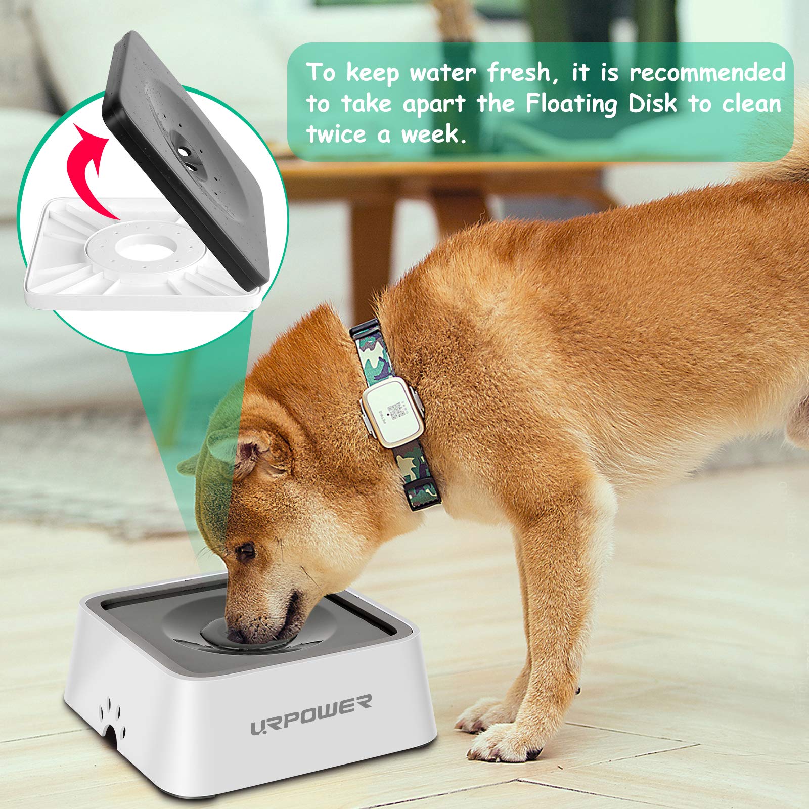 URPOWER non-slip base and splash-free rim prevent tipping on the floor.