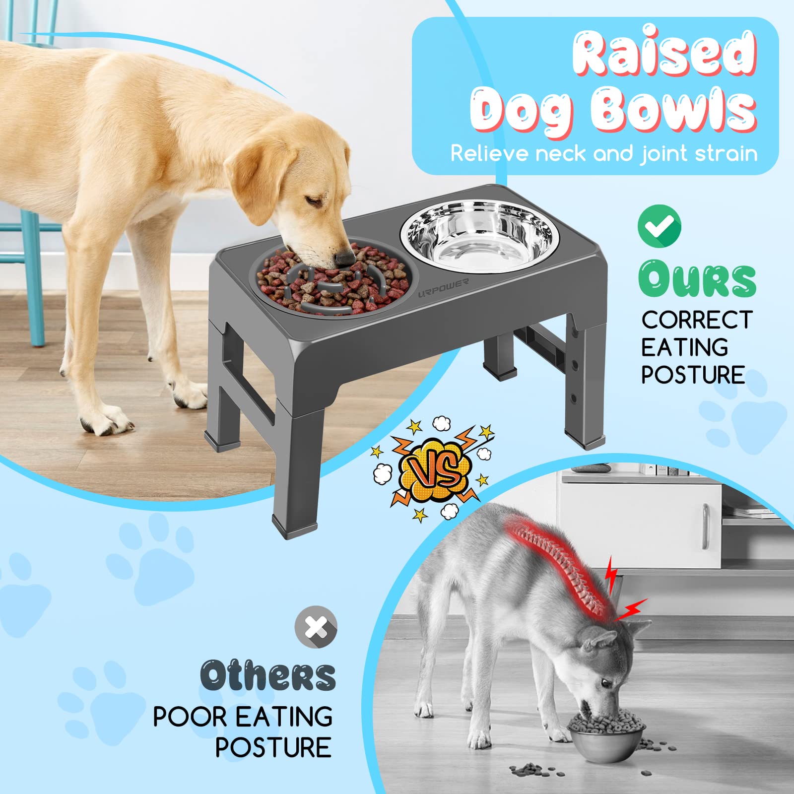 URPOWER stainless steel water bowl integrated with raised stand for easy hydration