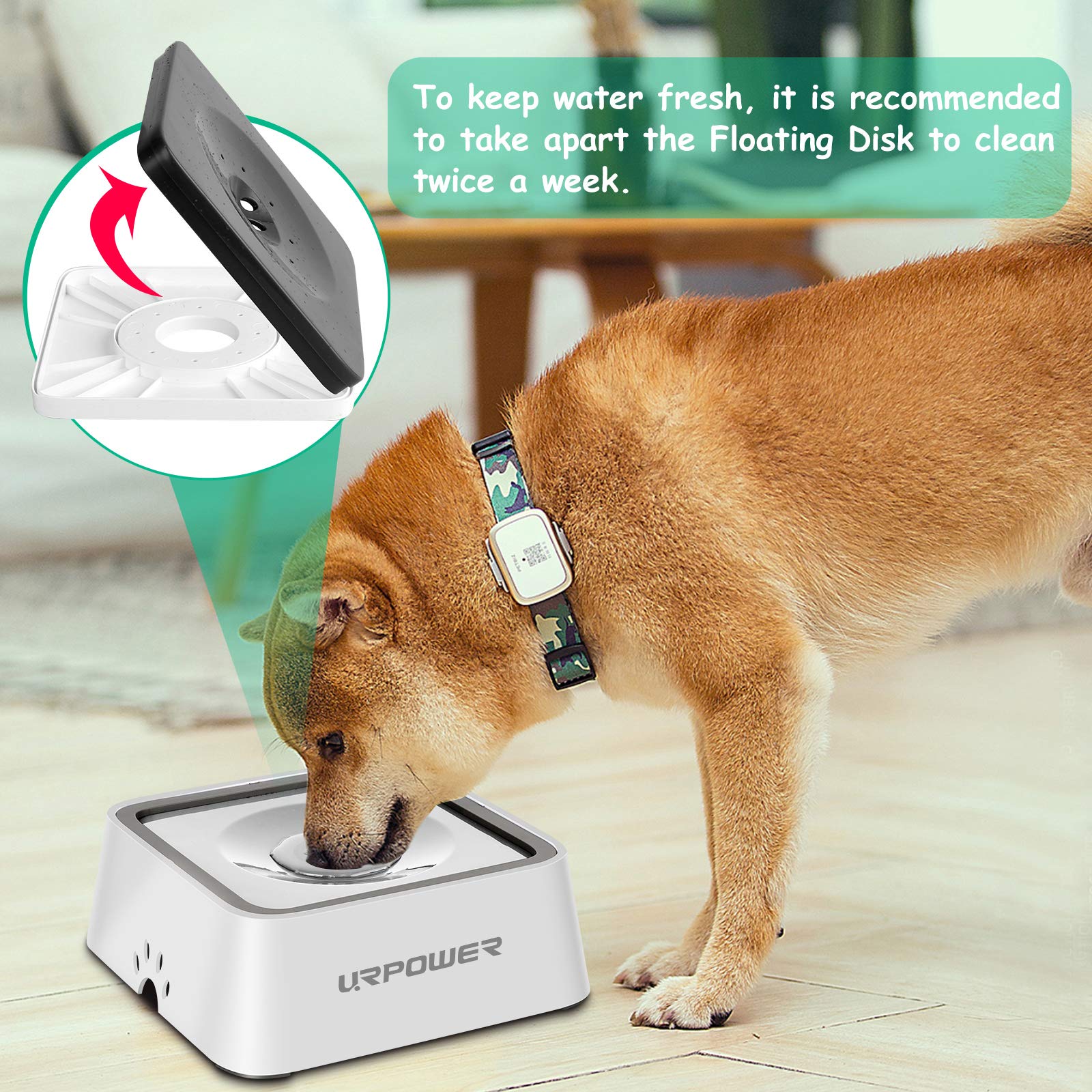 URPOWER travel-friendly bowl demonstrated in car for on-the-go hydration.