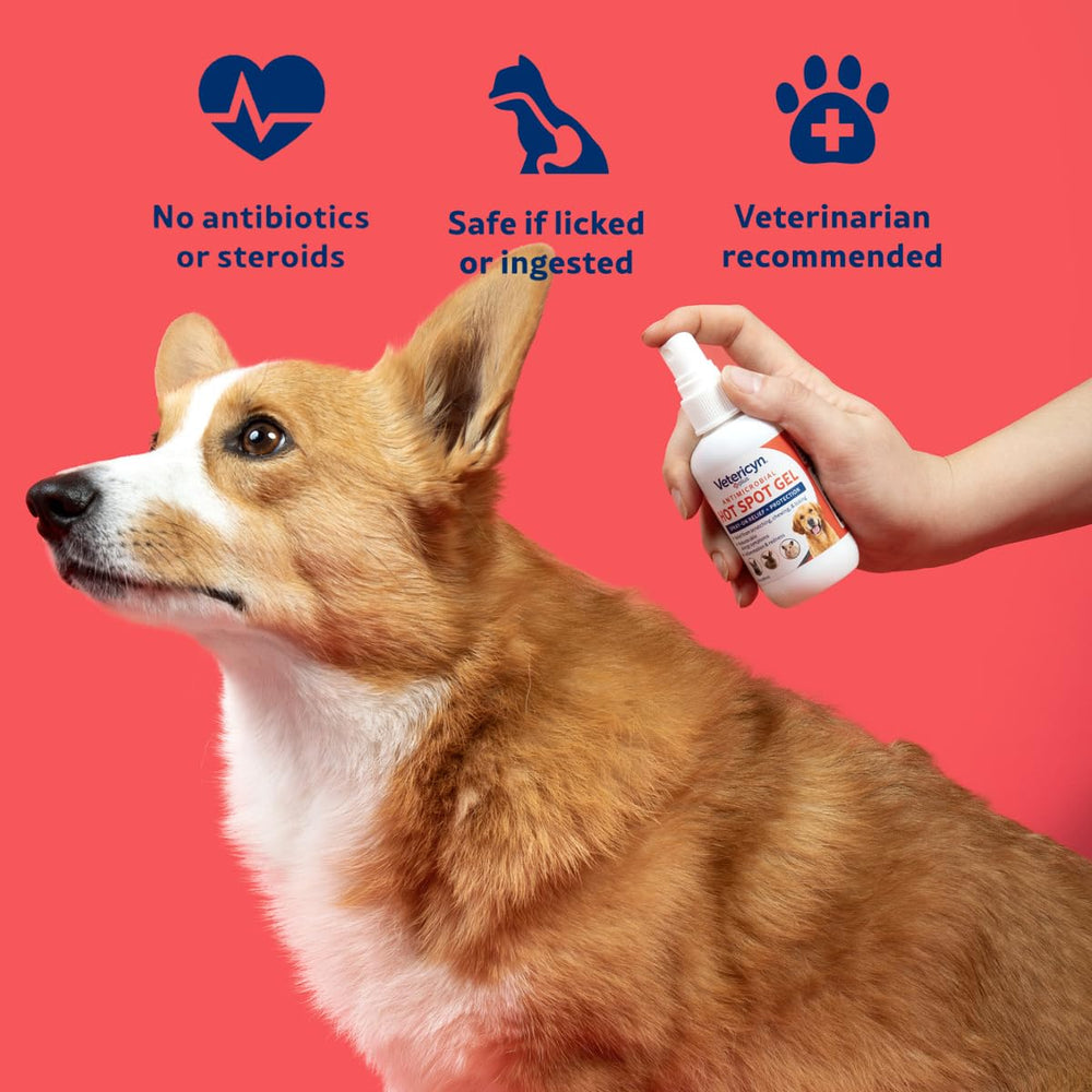 Usage steps image showing quick daily hot spot care routine