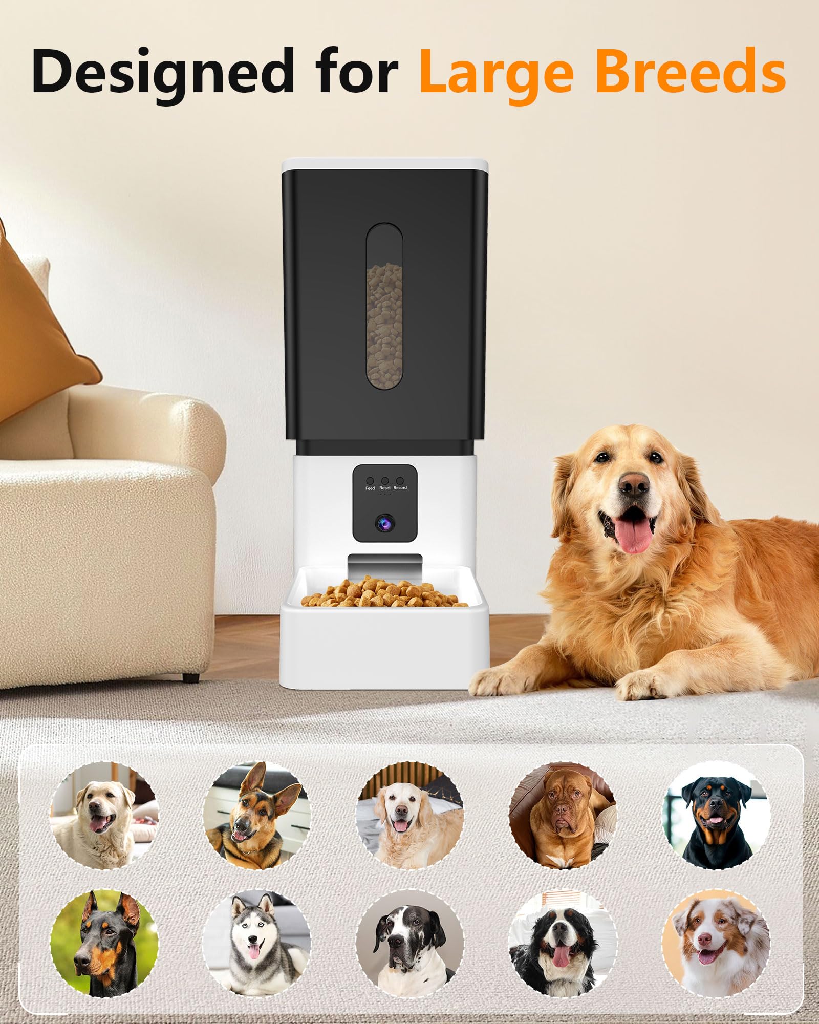 UTCG 5G WiFi setup enables remote feeding from anywhere.