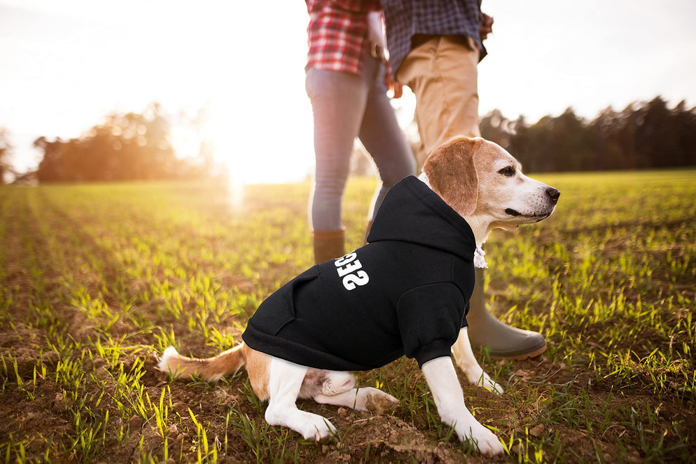 Uteuvili dog hoodie size chart view for proper fit guidance.