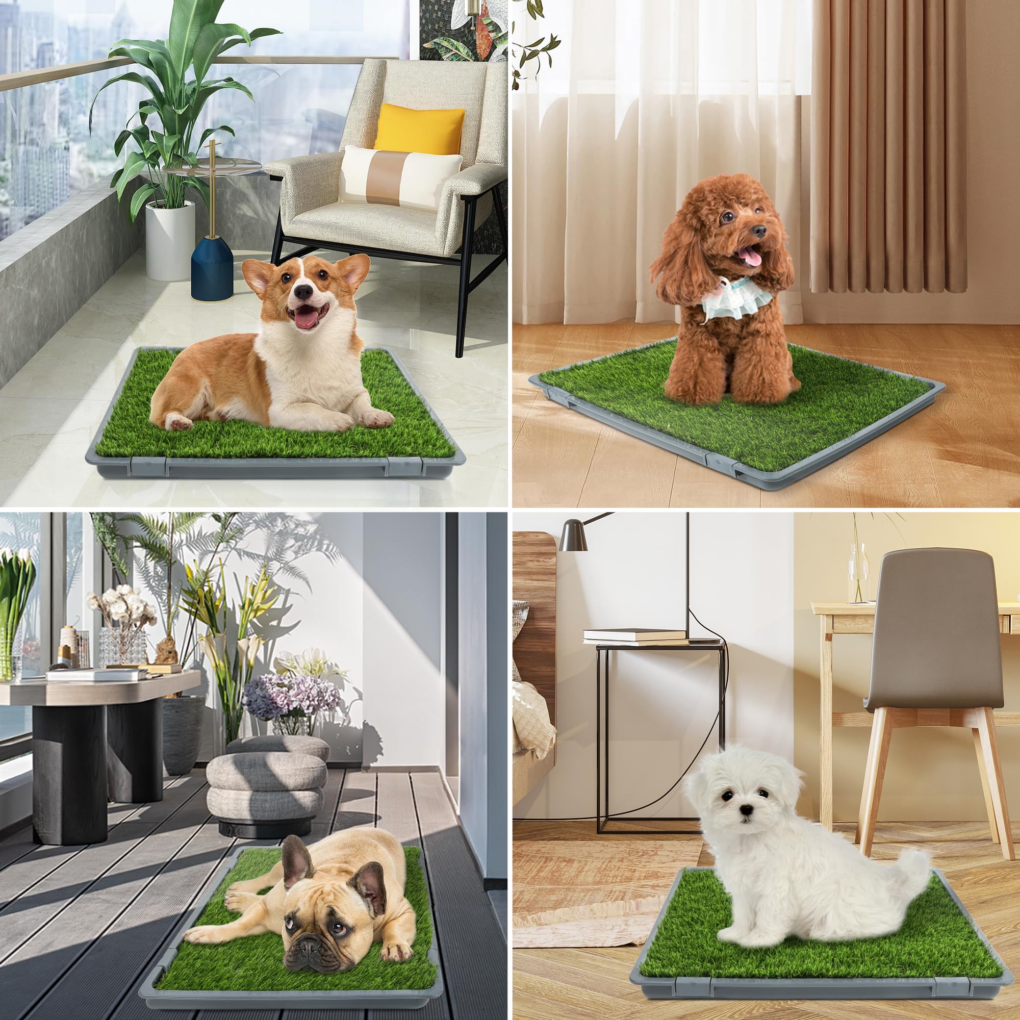 UUpet dog grass pad cleaning demonstrates quick rinse-and-dry care for busy homes.