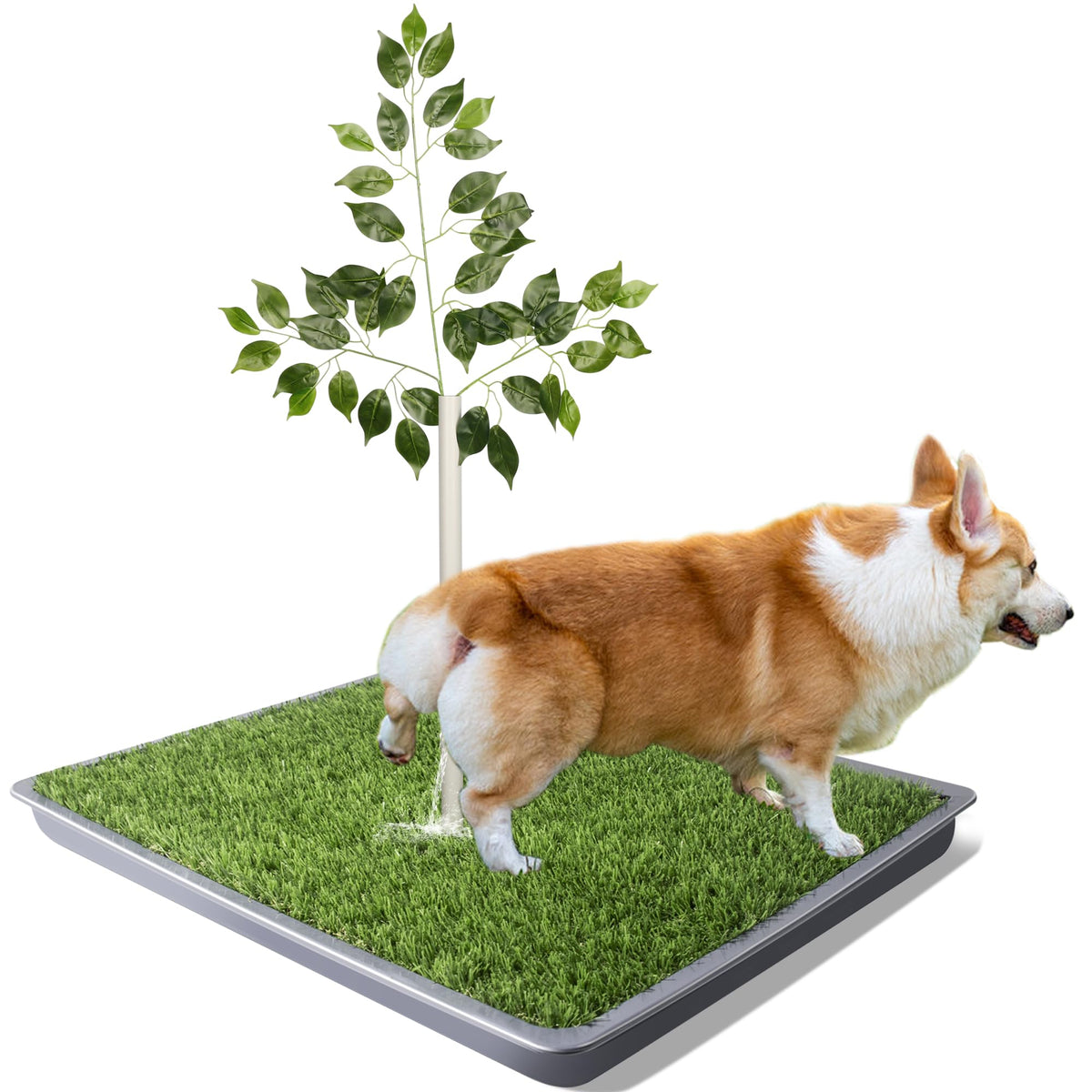 UUpet dog grass pad with tray 26x26 for quick indoor potty.