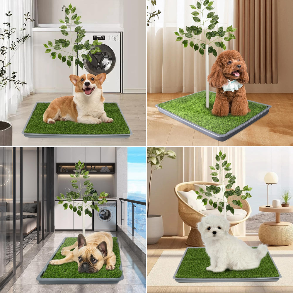 UUpet included tree and tray setup helps keep areas cleaner.