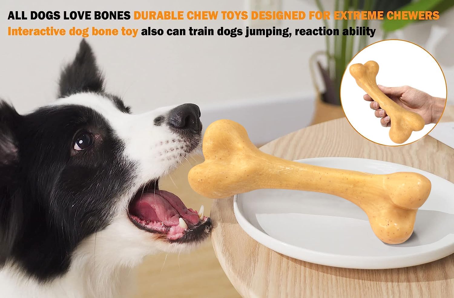 UXVA indestructible dog toy in outdoor play setting encouraging chewing and energy release