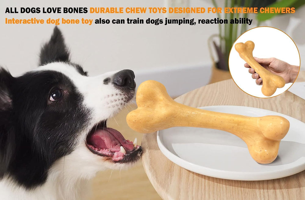 UXVA indestructible dog toy in outdoor play setting encouraging chewing and energy release