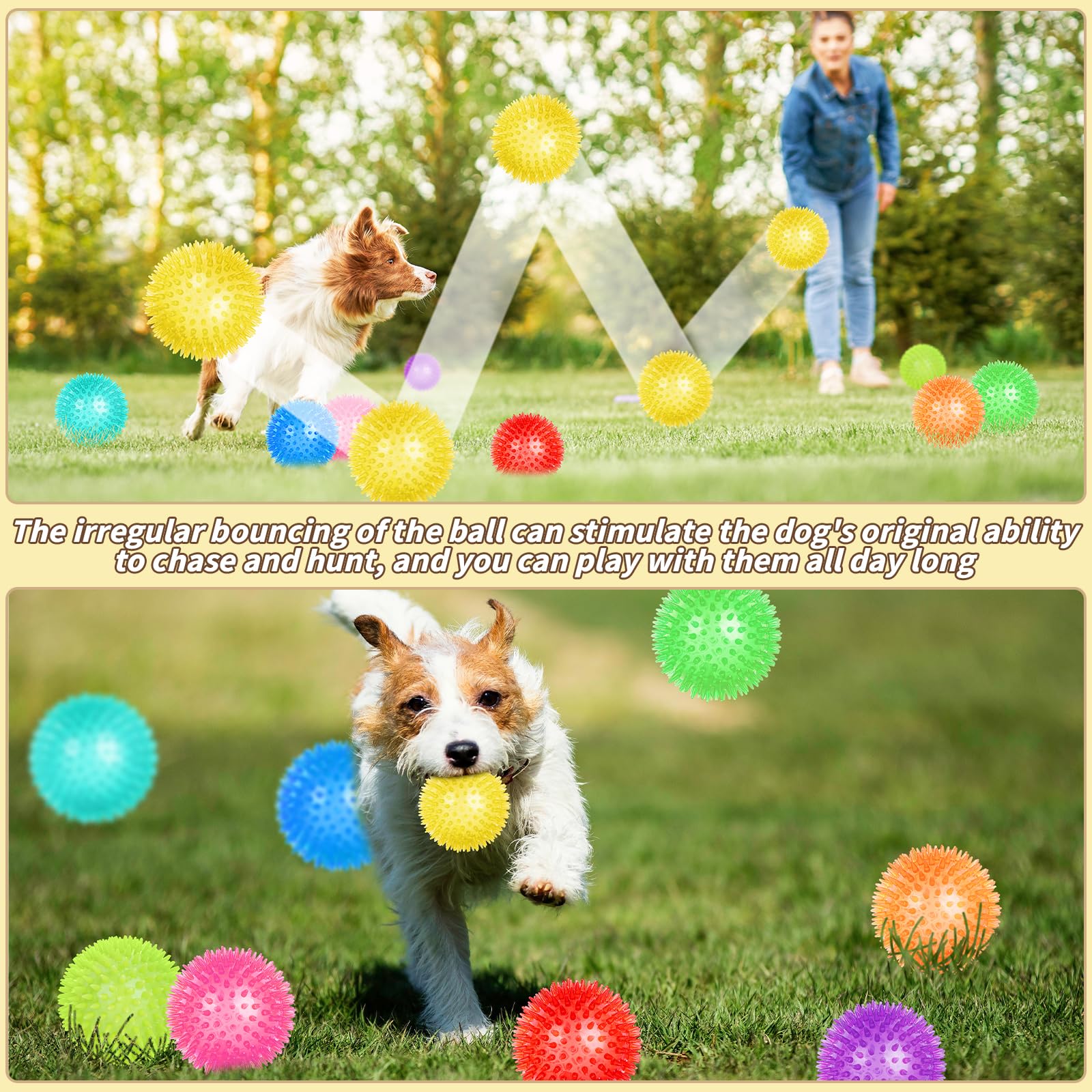 UZLU 12-color set of dog toys for varied playful options.