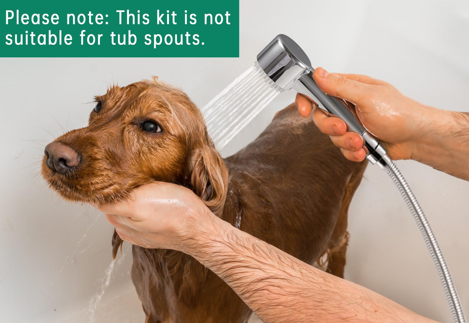 V-Frankness built-in brush for efficient grooming during bath