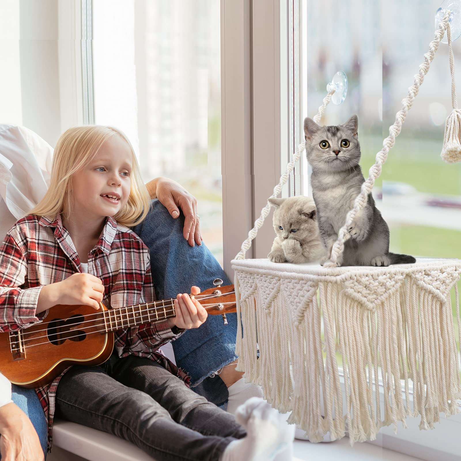 VAESCOL Cat Window Perch Assembly illustrates tool-free installation and wall-mount setup.